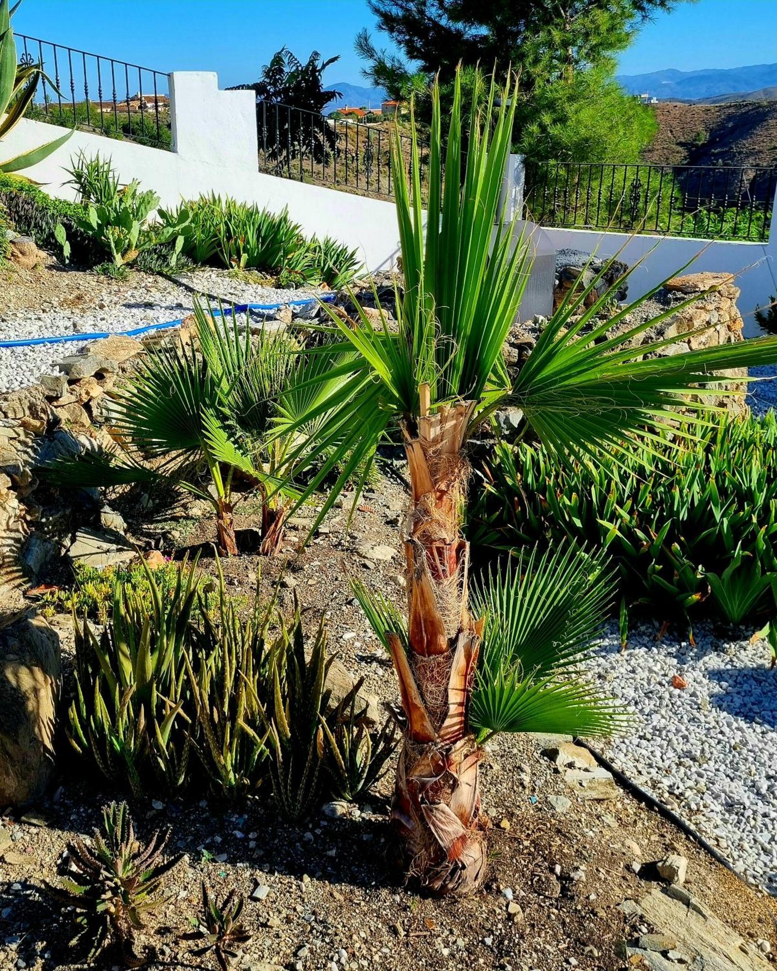Cortijo Naturista Con Vistas-Clothing Optional Oria المظهر الخارجي الصورة